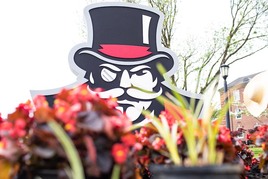 Red flowers in front of the Gov head sign on Drane Street